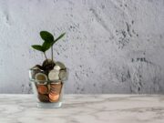 Podnikání a finance: Jak peníze pro podnikání získat a jak si vyplatit peníze z vlastní firmy?