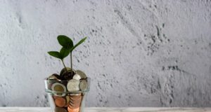 Podnikání a finance: Jak peníze pro podnikání získat a jak si vyplatit peníze z vlastní firmy?