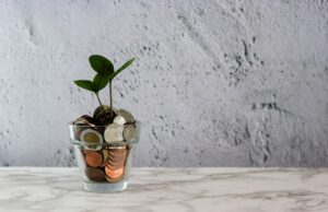 Podnikání a finance: Jak peníze pro podnikání získat a jak si vyplatit peníze z vlastní firmy?