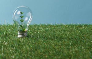 Zelená energie získává na popularitě, i kvůli vysokým cenám za plyn a elektřinu