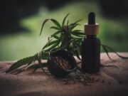 Trh s CBD roste. Jak na něm vydělat – i jako laik?
