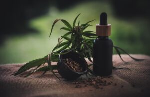 Trh s CBD roste. Jak na něm vydělat – i jako laik?