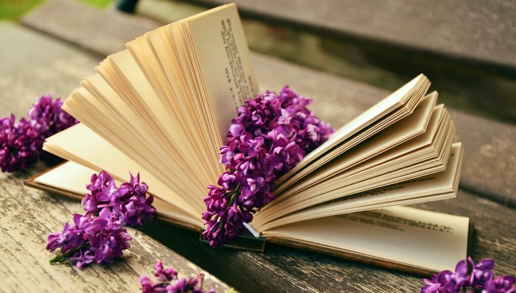 book-759873_1280